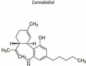 cannabidiol, Cannabinoids, Endocannabinoids