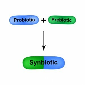 Combination of probiotic and prebiotic. A symbiotic. synbiotic. Capsules are blue and green. Medicines for the treatment of intestinal and vaginal dysbiosis. Dysbacteriosis. Infographics. Vector