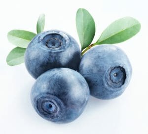 bilberry, biocidin lsf