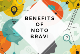 noto bravi, memory, nootropic, ginseng, herbal