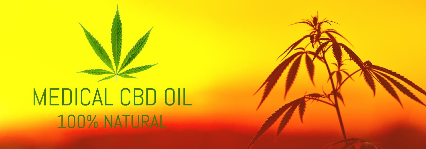 CBD Oil, medical marijuana, cannabis