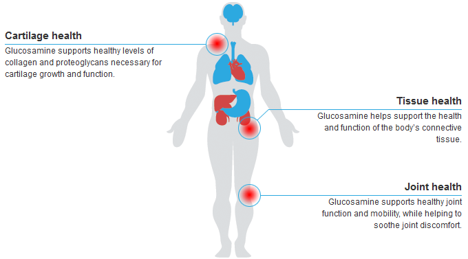 Glucosamine Helps Combat the health condition known as Rheumatism Arthritis