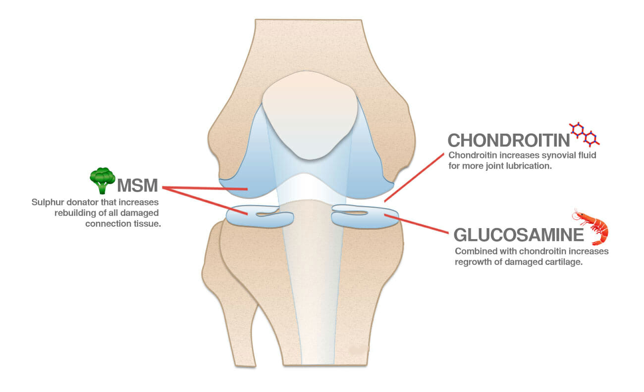 ChondroCare is a nonsteroidal anti inflammatory used to promote Glucosamine