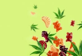 What is the Best Form of CBD? – Suppositories, Sandwiches & More, DR Vitamin Solutions, blog, hemp, quicksilver scientific