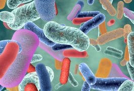 The Best Probiotic Supplements for Immune System Support