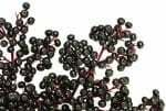 elderberries