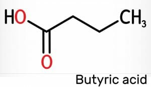 butyric acid, butyrate