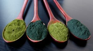 Weighing the Benefits of Blue Spirulina vs. Chlorella