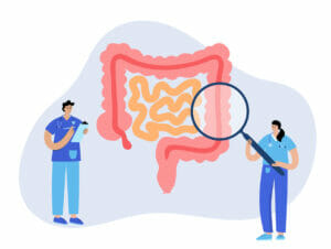 small intestines, digestion, An Overview of Nutrient Absorption