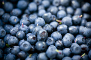 bilberry, antioxidants