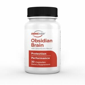 OmneDiem Obsidian Brain